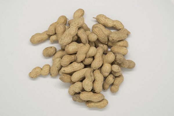 cacahuete - Imagen 13