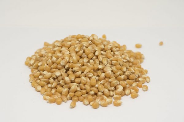 Maíz Para Palomitas - Imagen 2