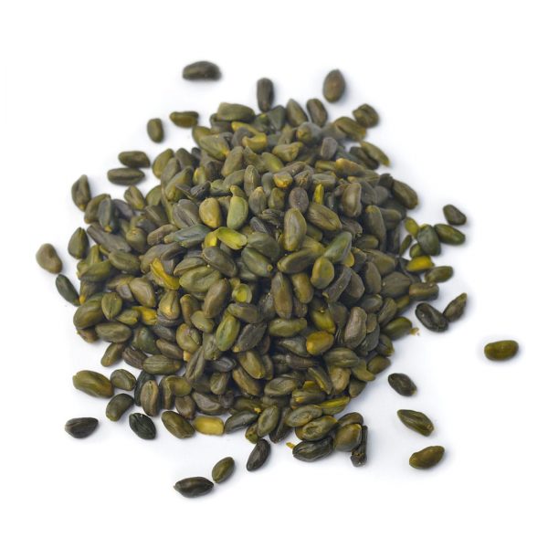 Pistacho - Imagen 5